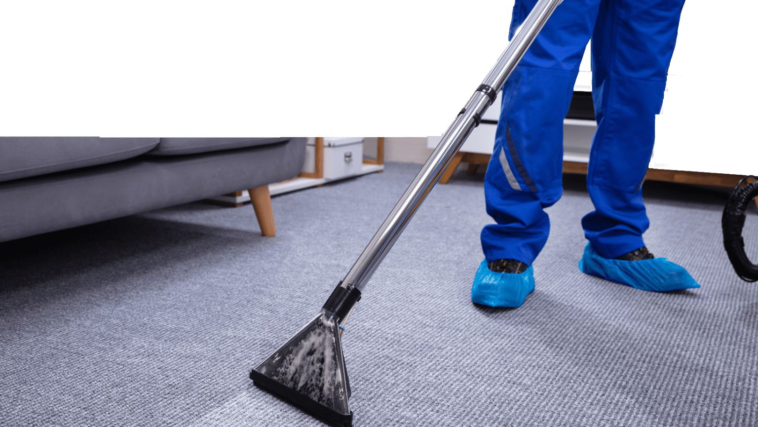 Home Chase Carpet Cleaners